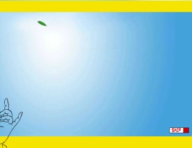 铁观音茶叶公司flash网站片