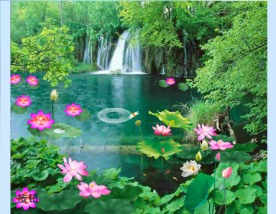 出水芙蓉flash动画源文件