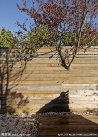 建筑园林 别墅 豪宅 摄影