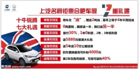 国庆车展特价车看板