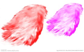 细羽毛组成翅膀笔刷