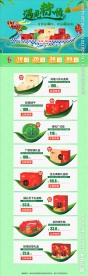 端午节粽子促销活动页
