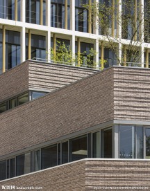 外国大学  高校