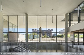 外国大学  高校