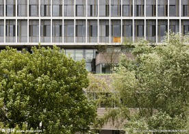 外国大学  高校