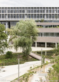 外国大学  高校