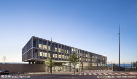 外国大学  高校