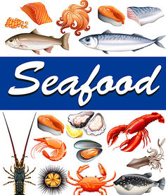 海鲜 手绘 矢量