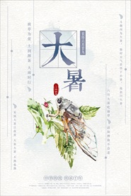 简约风大暑宣传海报