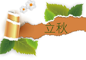 立秋画册