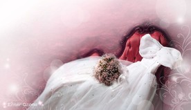 披上嫁衣flash动画