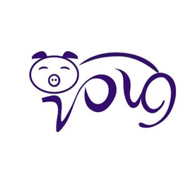 2019猪年 抽象矢量图