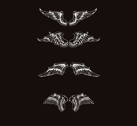 手绘翅膀PS笔刷