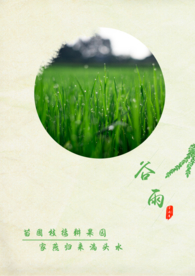 谷雨海报