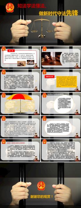 执法守法介绍ppt