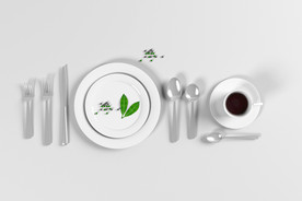 餐具效果图样机