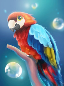梦觉插画鹦鹉