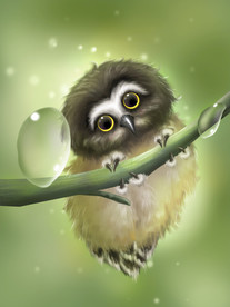 梦觉插画猫头鹰