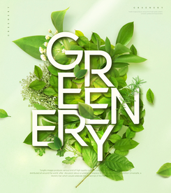 春夏绿色叶子海报