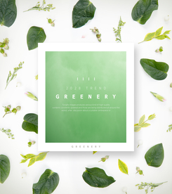 春夏绿色叶子海报