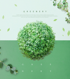 春夏绿色叶子海报