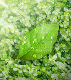 春夏绿色叶子海报