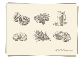 6款入 食物手绘稿