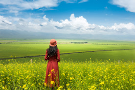 蓝天油菜画图片