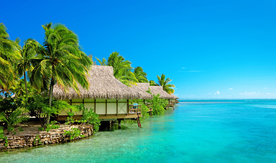 马尔代夫沙滩海岸小岛