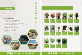 绿植宣传单