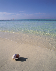 沙滩海岸海滩图片