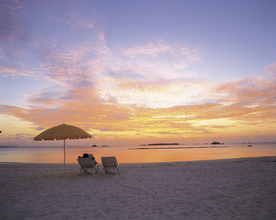 沙滩海岸海滩图片