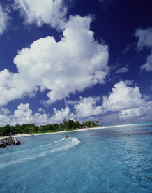 沙滩海岸海滩图片