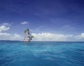 马尔代夫毛里求斯塞舌尔海岸