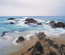 沙滩海滩海岸图片