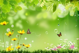 春天蝴蝶