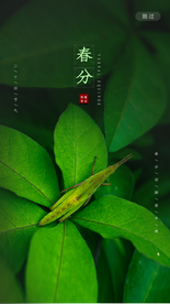 春分设计手机海报