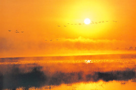 彩霞日出夕阳火烧云图片