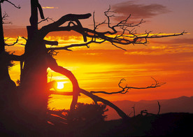 彩霞日出夕阳火烧云图片