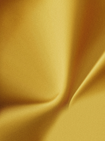 金色背景