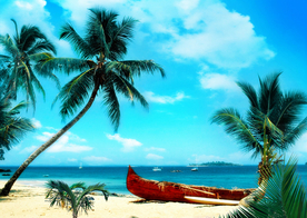 沙滩海岸海滩岛屿图片