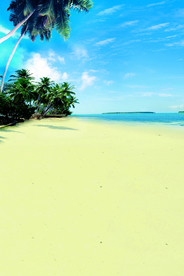 沙滩海岸海滩岛屿图片