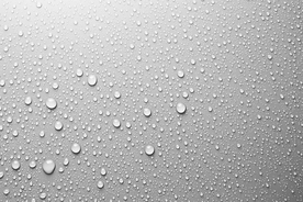 露水露珠水珠图片背景