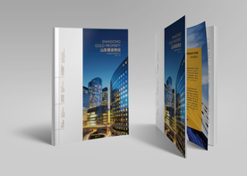 胶装画册样机