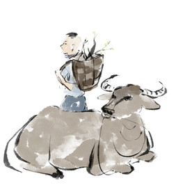 清明节放牛素材