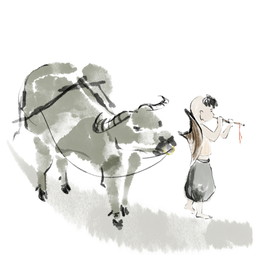 清明节放牛素材