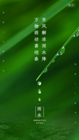 雨水节气海报