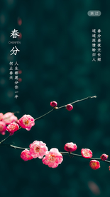春分二十四节气