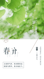 春分节气海报