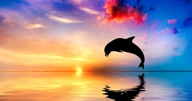 彩霞日出夕阳火烧云